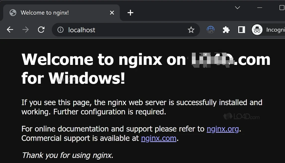 适用于 Windows 的 Nginx web服务器-DG城市