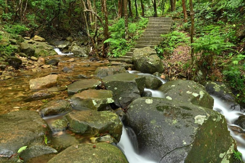 深圳梧桐山：鹏城绿肺与生态文化地标-Dgcity-Discover Great Chinese City