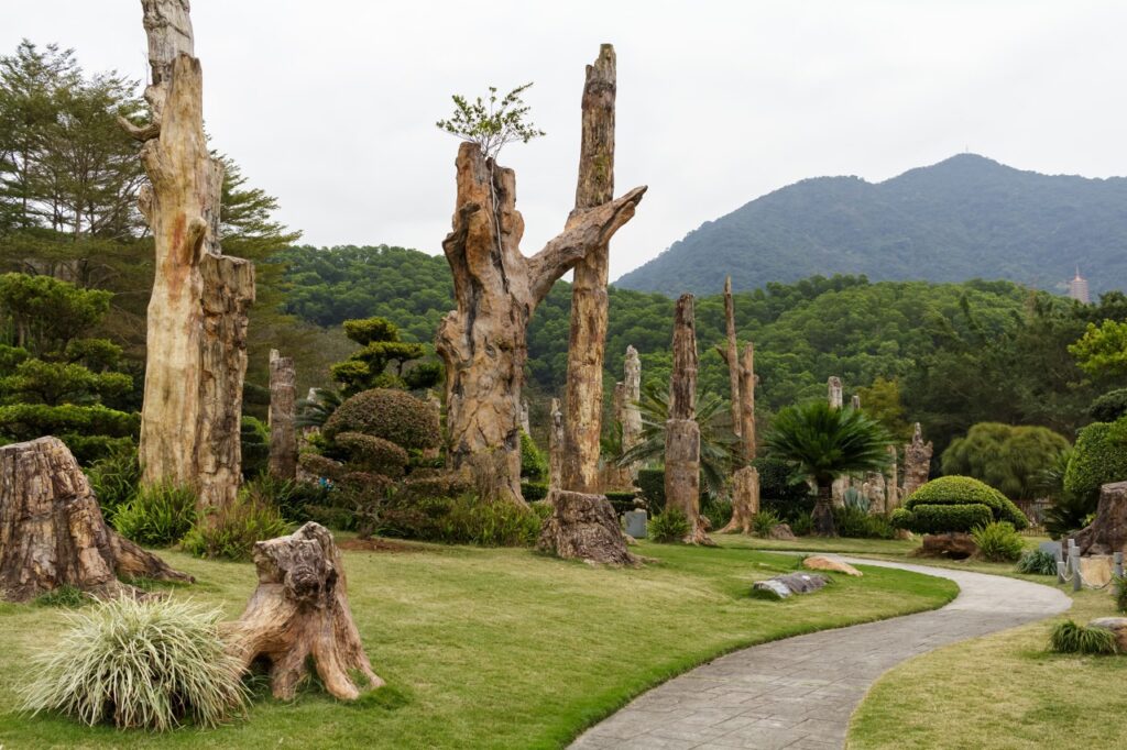 图片[2]-Fairy Lake Botanical Garden Shenzhen: A Paradise of Plants at the Foot of Wutong Mountain-Dgcity-Discover Great Chinese City