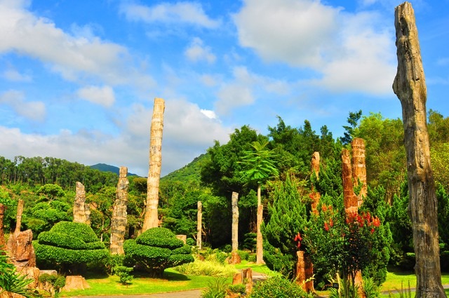 图片[8]-Shenzhen Top Attractions: Theme Parks, Nature & Urban Wonders