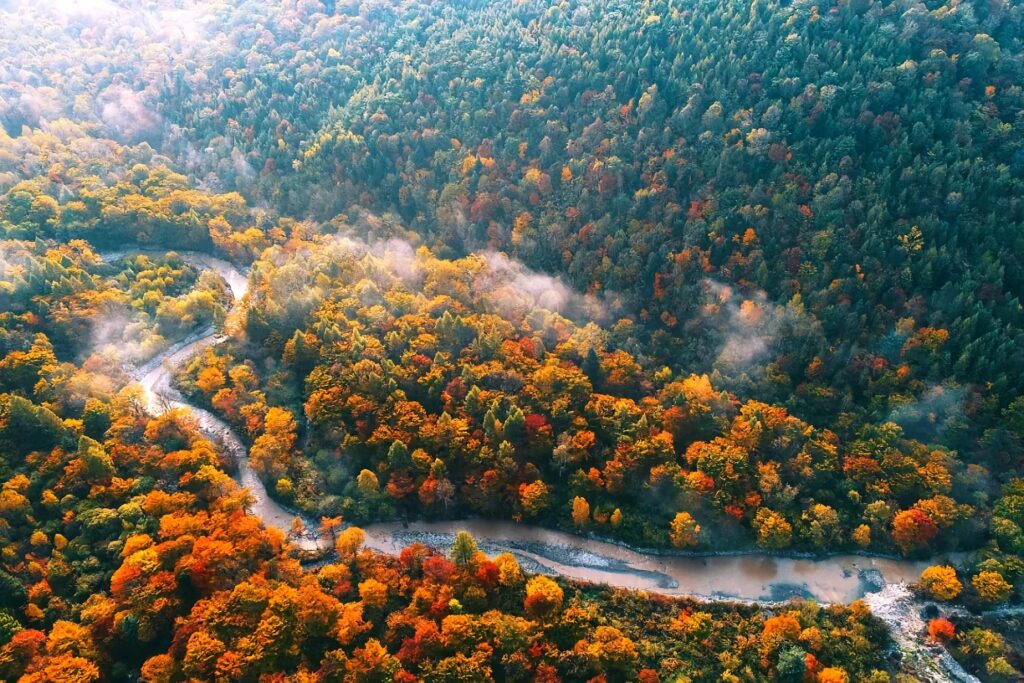 图片[2]-Northeast China Black Soil Culture Ice Tourism Folk Customs