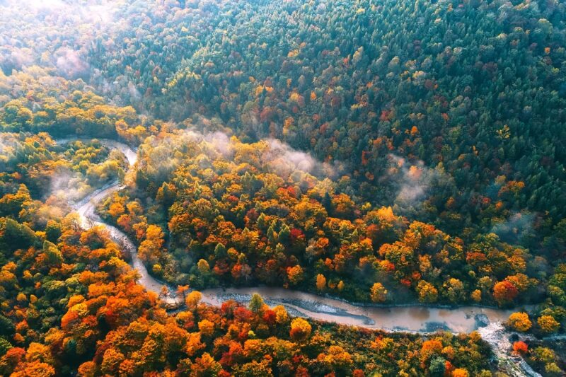 冰韵黑土,文脉北疆——解码中国东北地区的独特魅力-Dgcity-Discover Great Chinese City