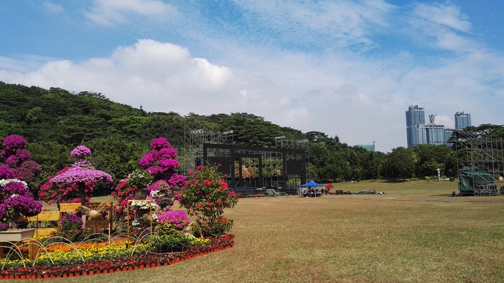 图片[2]-Shenzhen Lianhuashan Park Guide: Top Attractions & Transportation Tips