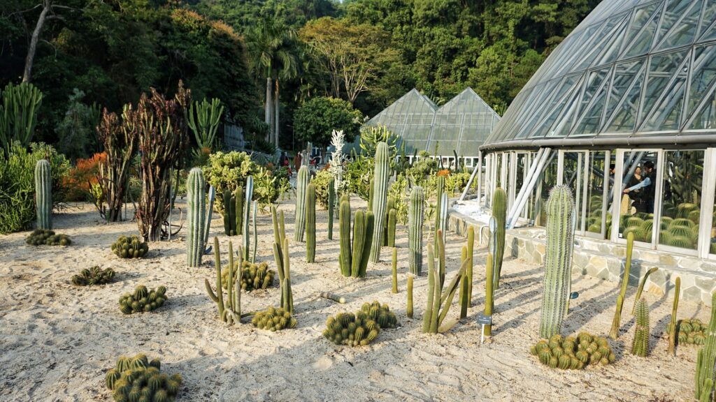 图片[1]-深圳仙湖植物园游玩攻略｜梧桐山麓的植物王国与禅意秘境-Dgcity-Discover Great Chinese City
