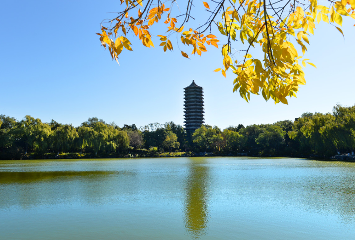 图片[2]-外国留学生申请中国高校流程及要求 2026最新指南