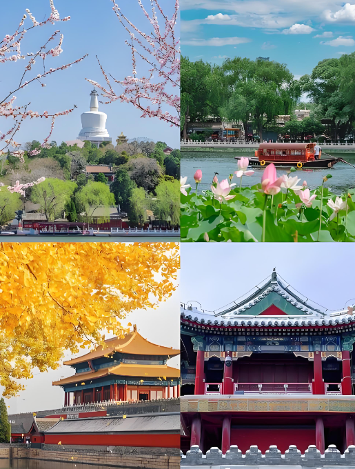 四季皆景，步步生趣：北京全年文旅漫游手册-Dgcity-Discover Great Chinese City