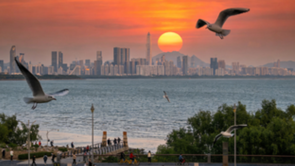 图片[1]-Shenzhen: From a Fishing Village to a Global Innovation Hub-Dgcity-Discover Great Chinese City